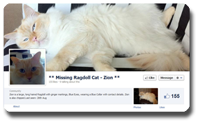 Chat retrouvé grâce à Facebook